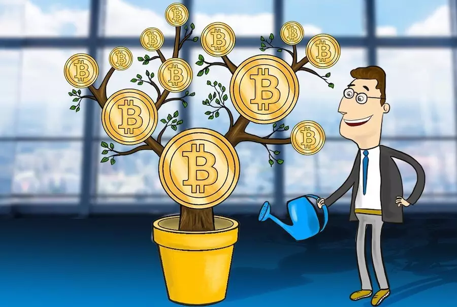 Smart Bit Boost - Forfatterens mening