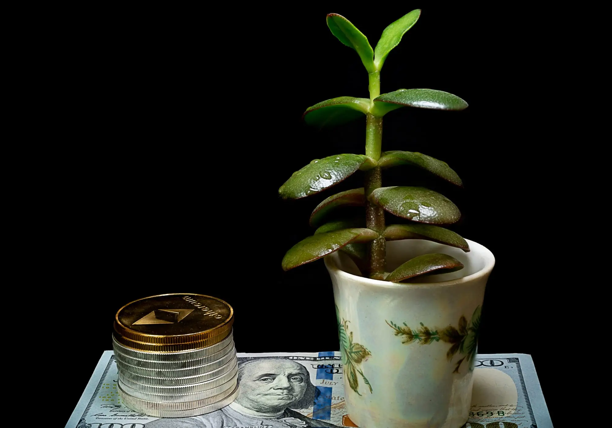 Smart Bit Boost - Risks and Benefits of Investment: